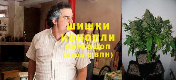 мдма Новодвинск